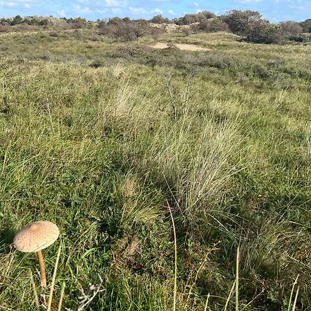 Vakantiewoning Aan De Kust 16 公寓