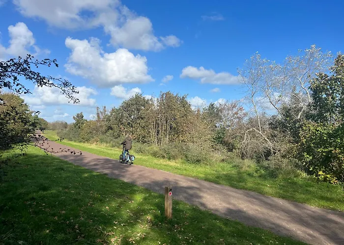 Vakantiewoning Aan De Kust 16 아파트 에크몬드안지