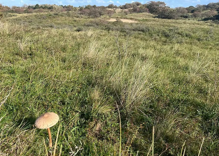 Vakantiewoning Aan De Kust 16 아파트